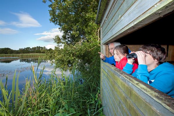 168飞艇官方网站图片